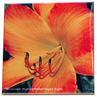 hem pinched fingers 0753.jpg